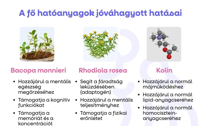 (Maďarština) Jak se zklidnit … (1)